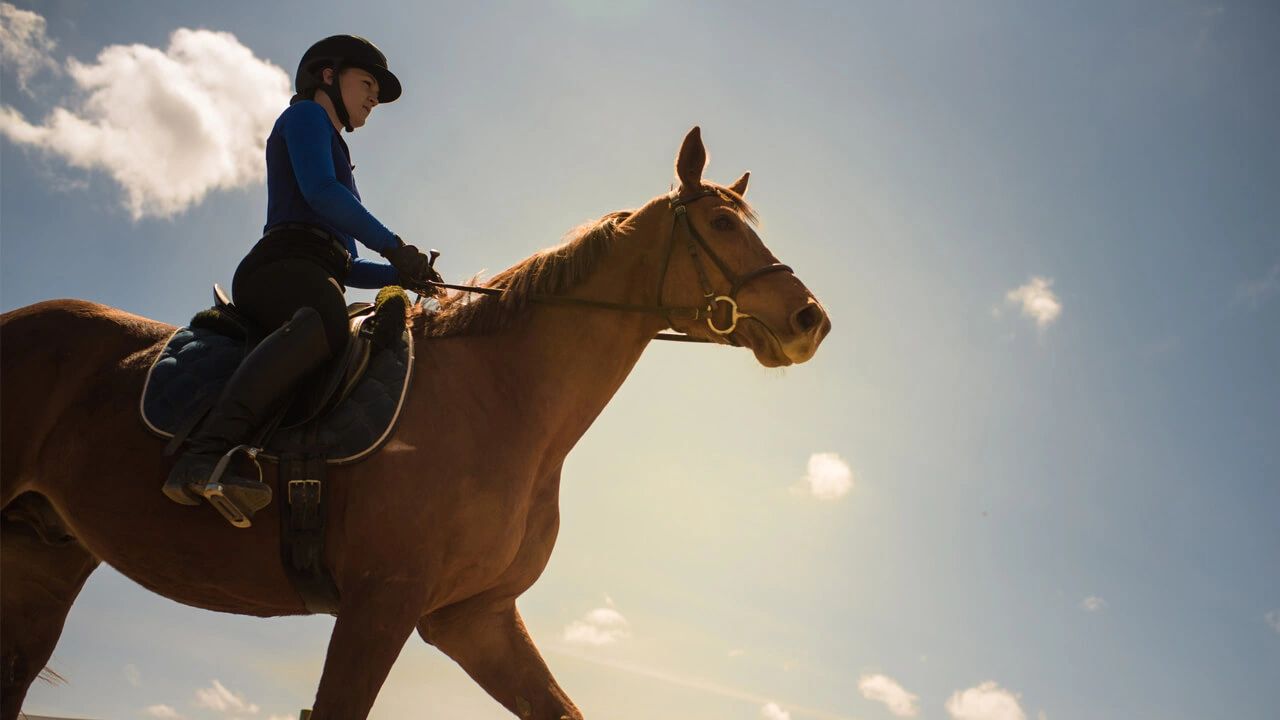 Christian Approach to Equestrian Studies at Houghton College (NY)